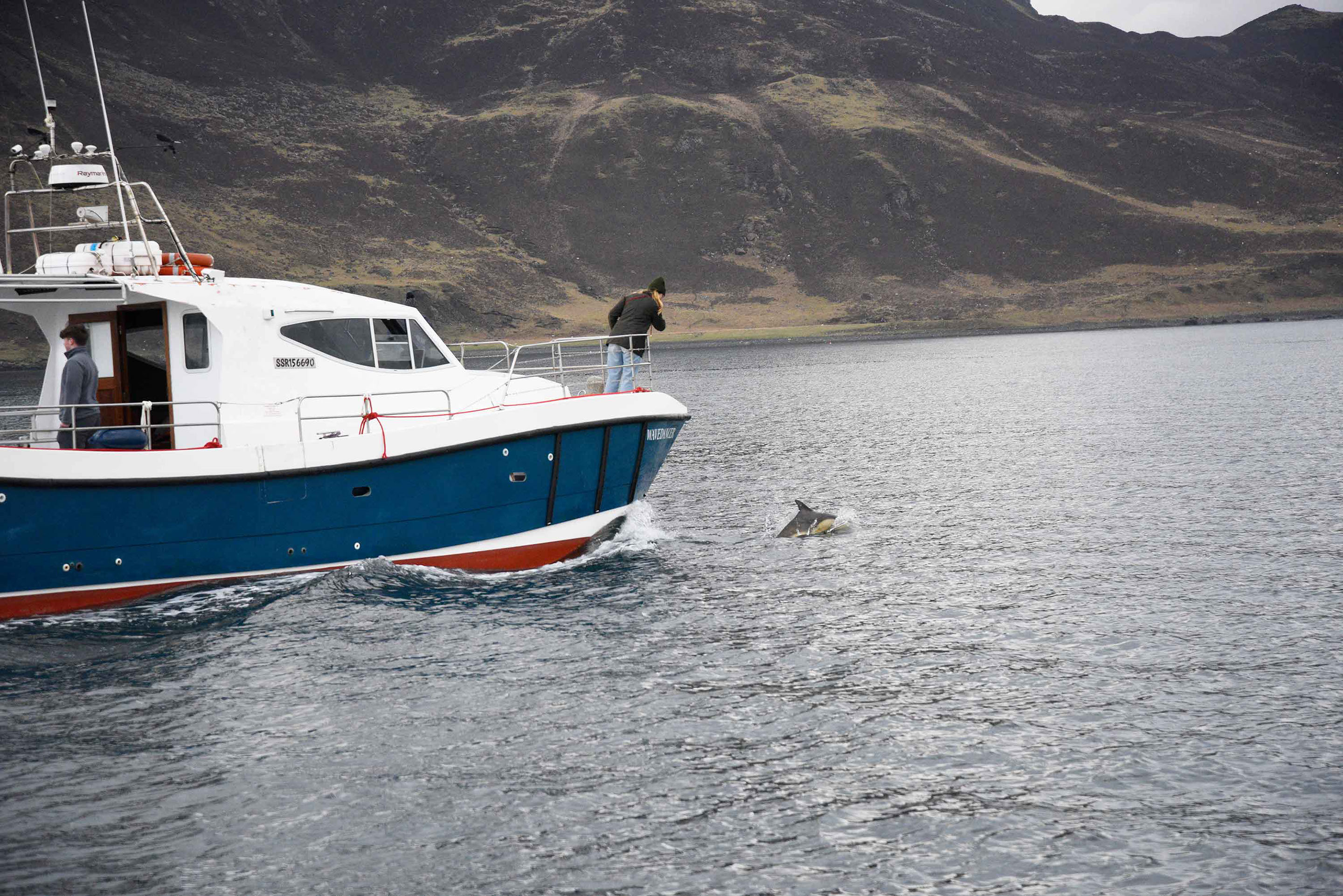 See Dolphins on an Isle of Skye Boat Tour with Stardust Boat Trips
