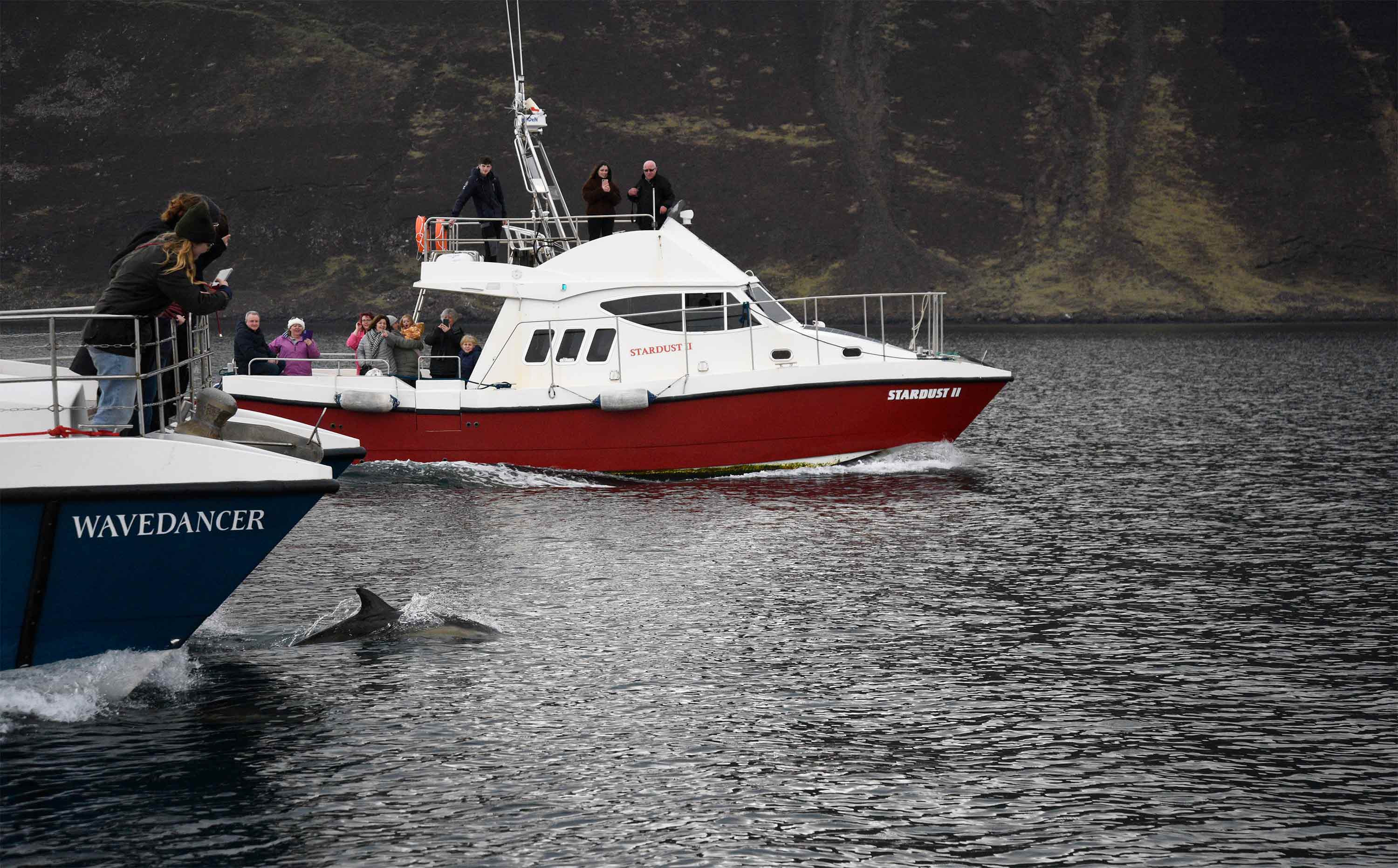Stardust Boat Trips on the Isle of Skye Boat Tours with Dolphins